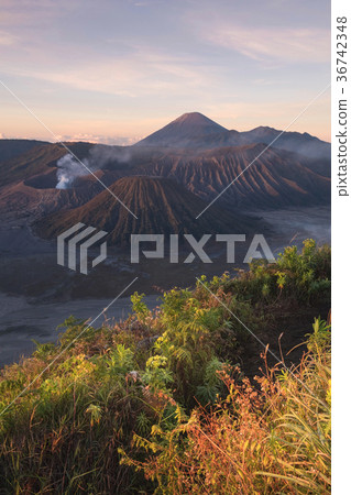 Mount Bromo, East Java, Indonesia 36742348