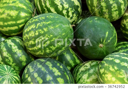 set of watermelon pile of autumnal backgrounds 36742952