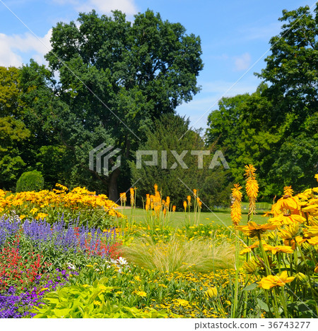 Summer park with beautiful flower beds. Summer park with beautiful flower beds. 36743277