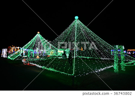 2017年湖榛鳥燈飾節 36743802