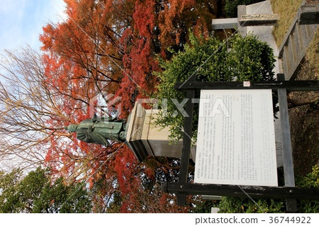 Statue Nao Ii Statue Nao Ii 36744922