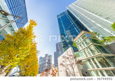 Shiodome in autumn Shiodome in autumn 36744950