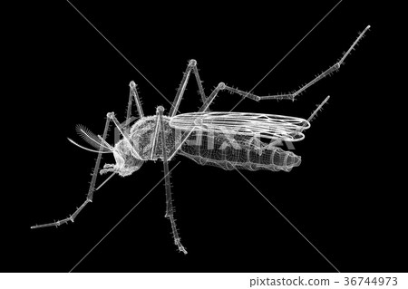 mosquito in wire carcass mosquito in wire carcass 36744973