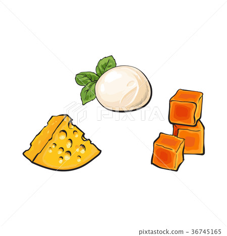 vector sketch mozzarella, cheddar, emmental cheese 36745165
