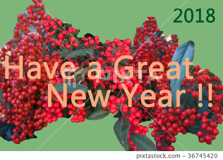 Simple New Year's card NewYear Card with the motif of Nanten (Nan ten) Simple New Year's card NewYear Card with the motif of Nanten (Nan ten) 36745420