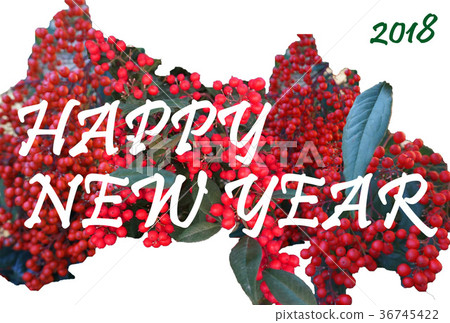 簡單的新年賀卡NewYear卡與Nanten（南十）的主題 36745422