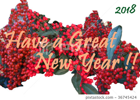 Simple New Year's card NewYear Card with the motif of Nanten (Nan ten) Simple New Year's card NewYear Card with the motif of Nanten (Nan ten) 36745424