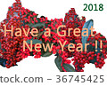 簡單的新年賀卡NewYear卡與Nanten（南十）的主題 36745425