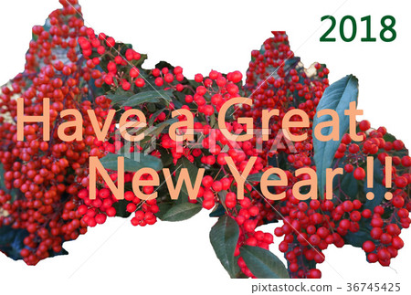 簡單的新年賀卡NewYear卡與Nanten（南十）的主題 36745425