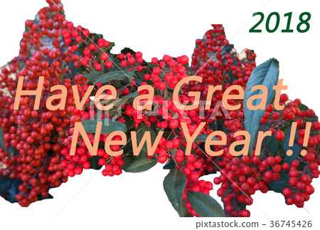 簡單的新年賀卡NewYear卡與Nanten（南十）的主題 36745426