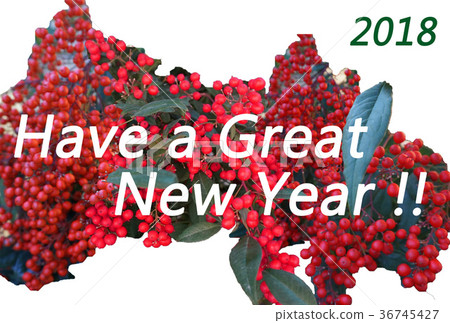 Simple New Year's card NewYear Card with the motif of Nanten (Nan ten) Simple New Year's card NewYear Card with the motif of Nanten (Nan ten) 36745427