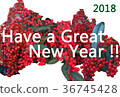 簡單的新年賀卡NewYear卡與Nanten（南十）的主題 36745428