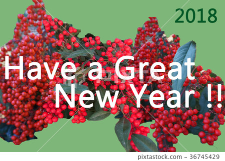 簡單的新年賀卡NewYear卡與Nanten(南十)的主題 簡單的新年賀卡NewYear卡與Nanten(南十)的主題 36745429
