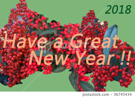 Simple New Year's card NewYear Card with the motif of Nanten (Nan ten) Simple New Year's card NewYear Card with the motif of Nanten (Nan ten) 36745434