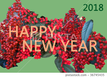 簡單的新年賀卡NewYear卡與Nanten（南十）的主題 36745435