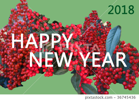 簡單的新年賀卡NewYear卡與Nanten(南十)的主題 簡單的新年賀卡NewYear卡與Nanten(南十)的主題 36745436