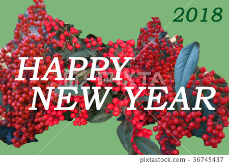 Simple New Year's card NewYear Card with the motif of Nanten (Nan ten) Simple New Year's card NewYear Card with the motif of Nanten (Nan ten) 36745437
