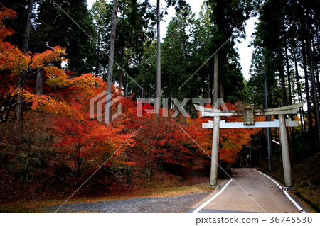 猿丸神社 猿丸神社 36745530