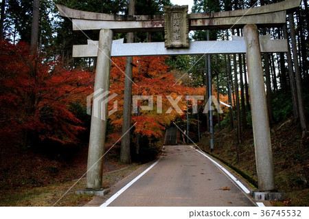 猿丸神社　 36745532