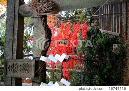 Sarumaru Shrine　 36745536