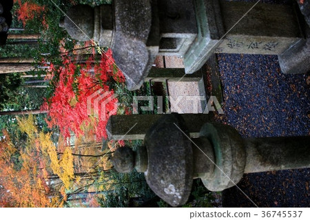 猿丸神社 猿丸神社 36745537