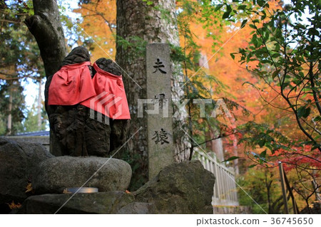 Sarumaru Shrine Sarumaru Shrine 36745650