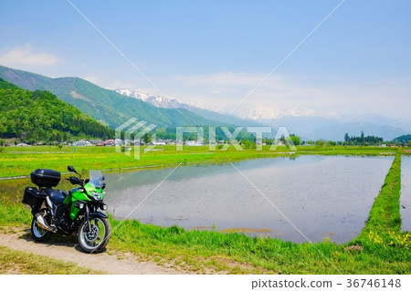 自行車旅遊（春季） 36746148