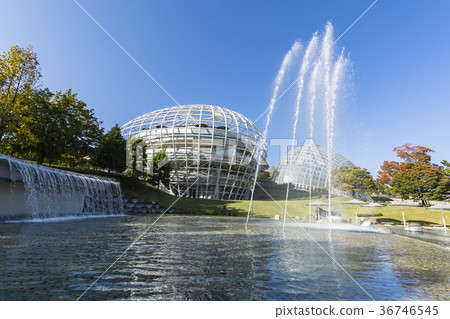 Fuefukukawa Fruit Park 36746545