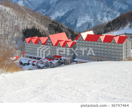 白馬Kortina_綠色廣場_滑雪_滑雪板 36747464