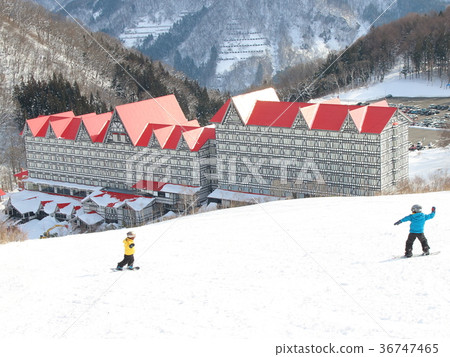 白馬Kortina_綠色廣場_滑雪_滑雪板 白馬Kortina_綠色廣場_滑雪_滑雪板 36747465