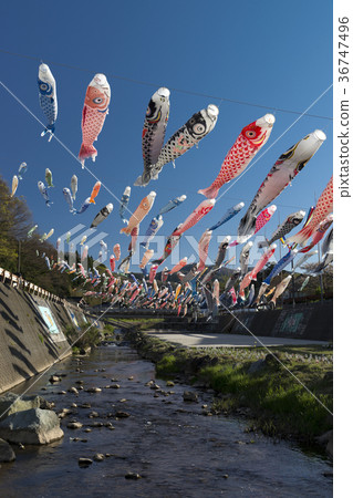 Oku Noto Otanigawa Konobori Festival 36747496