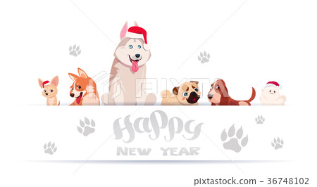 Group Of Cute Dogs Sitting On White Background 36748102