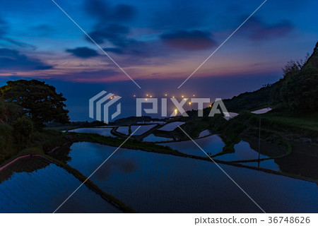 在Higashigobata的梯田和釣魚火災 36748626