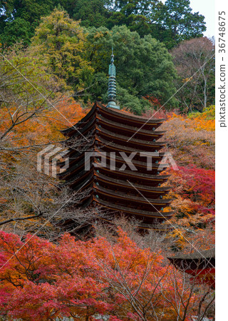 Triple tower 36748675