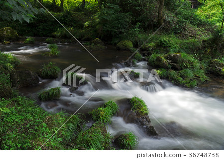 The clean flow of the Aratsuki Gorge The clean flow of the Aratsuki Gorge 36748738