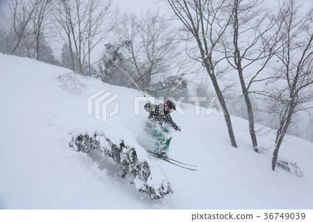Powder skiing 36749039