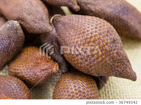 sweet tropical fruits of palm greens, snake fruit sweet tropical fruits of palm greens, snake fruit 36749342