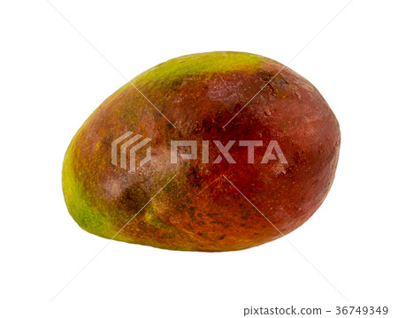 juicy ripe mango green red big fruit, sweet light juicy ripe mango green red big fruit, sweet light 36749349