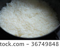 White rice 36749848