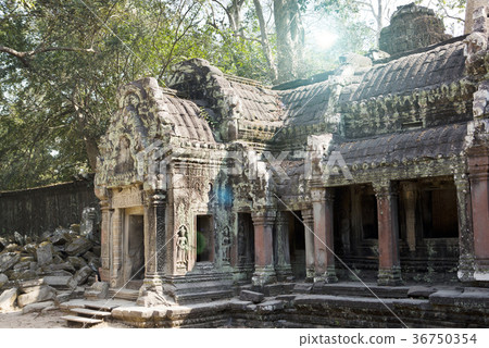 Temple ruins (XII th Century) , Siem Reap, Cambodi 36750354