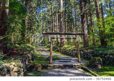 Hiraizumi Temple Hakusan Shrine approach way scenery Hiraizumi Temple Hakusan Shrine approach way scenery 36750466