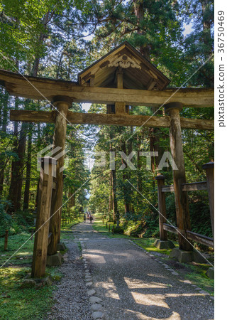 Hiraizumi Temple Hakusan Shrine approach way scenery Hiraizumi Temple Hakusan Shrine approach way scenery 36750469
