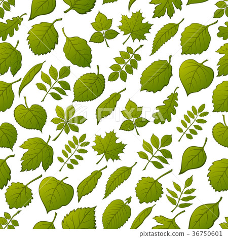 Leaves of Plants, Seamless 36750601