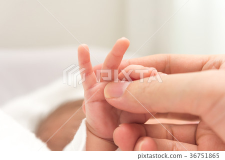 hand, adult, adults 36751865