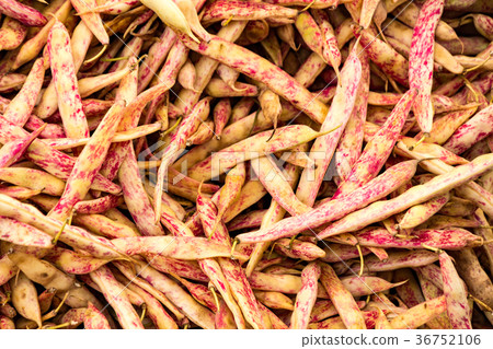 Cranberry beans for sale 36752106