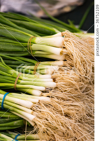 Scallions for sale Scallions for sale 36752109