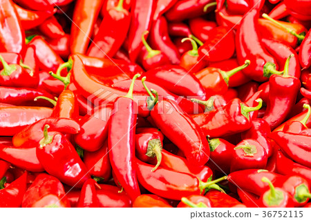 Red chili peppers for sale 36752115