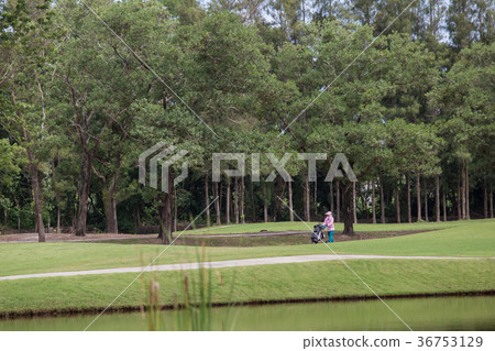 Woman pulling caddies across the golf course. 36753129