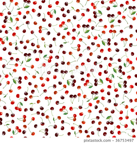 Ripe cherries. Seamless pattern. Fruit harvest. Ripe cherries. Seamless pattern. Fruit harvest. 36753497