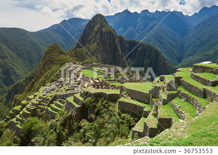Machu Picchu green terraces 36753553